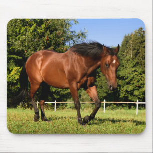 Pferd Mousepad