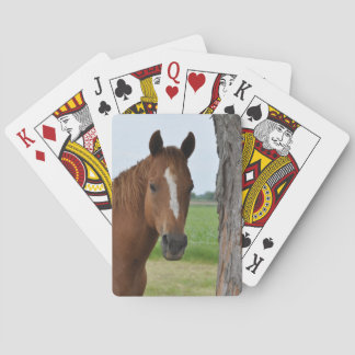 Pferd nach Baum Spielkarten