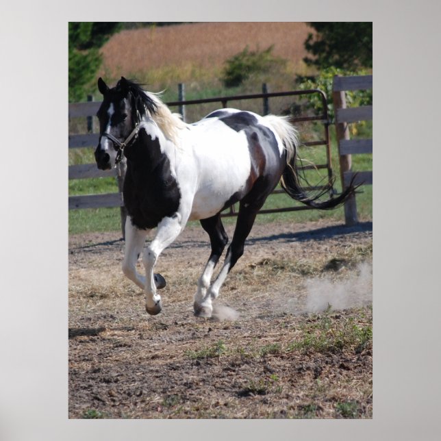 Pferd/Pinsel Poster (Vorne)