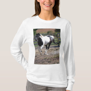 Pferd/Pinsel T-Shirt