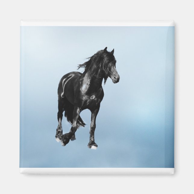 Pferd plötzlich abtauchen magnet (Vorne)