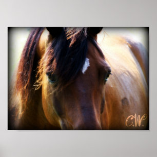 Pferd Poster