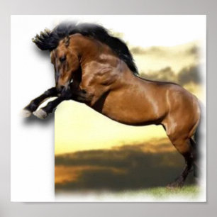 Pferd Poster