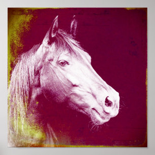 Pferd Poster