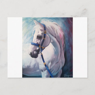 Pferd Postkarte