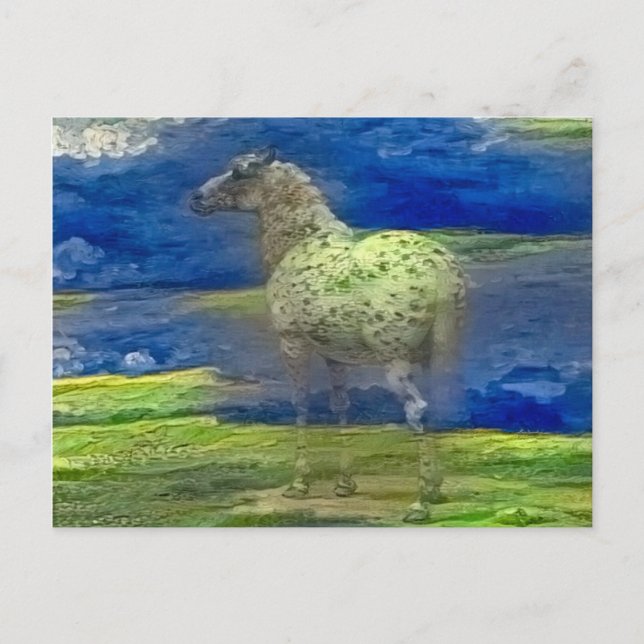 Pferd Postkarte (Vorderseite)