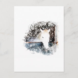 Pferd Postkarte