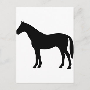 Pferd Postkarte
