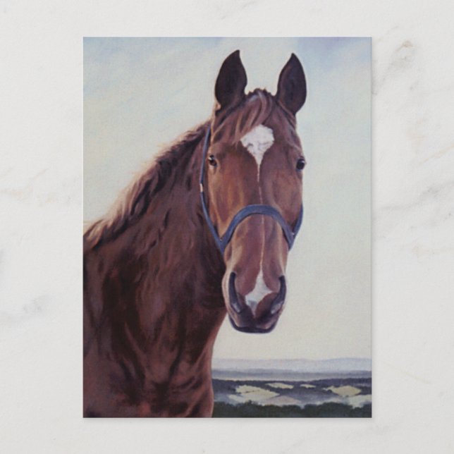 Pferd Postkarte (Vorderseite)