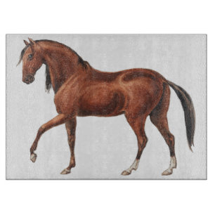 Pferd Reitsport Kunst Glas Schneidbrett Schneidebrett
