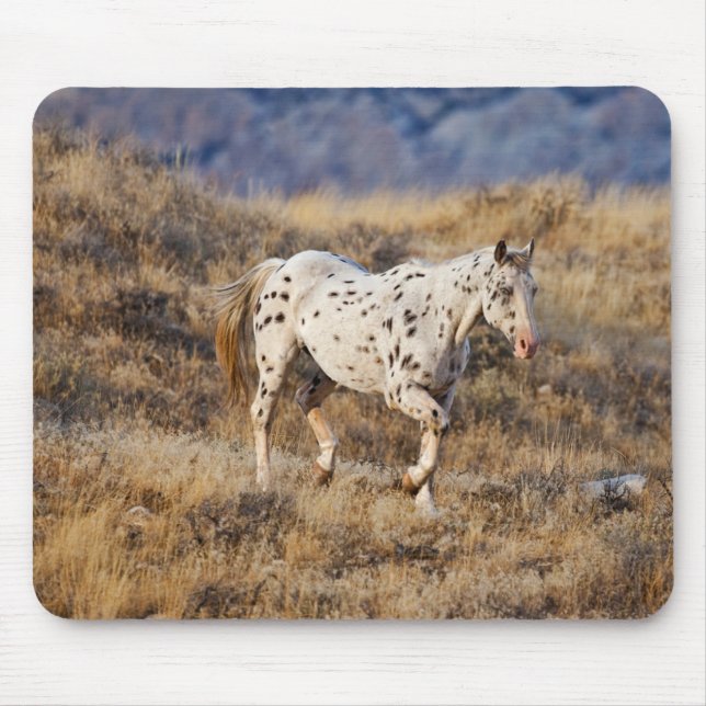 Pferd Roaming in den Landschaftlichen Hügeln des G Mousepad (Vorne)