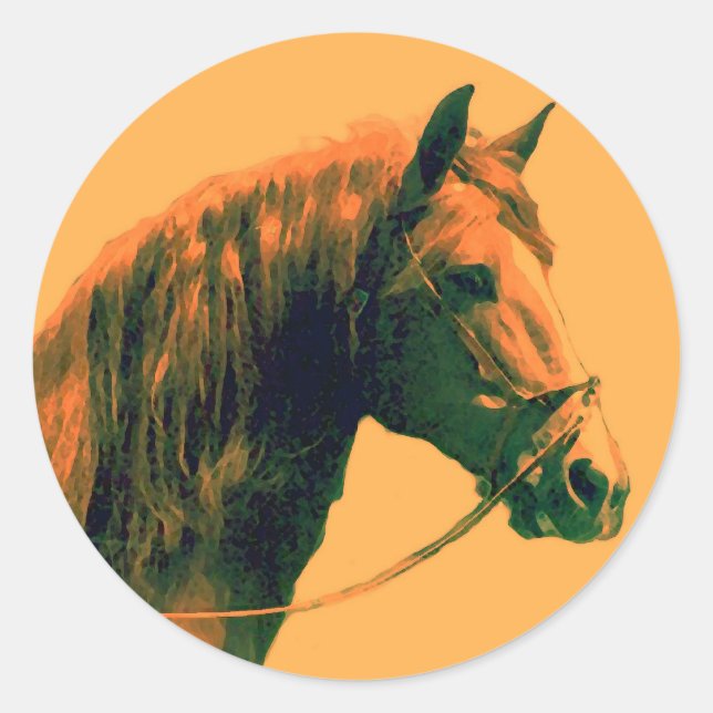Pferd Runder Aufkleber (Vorderseite)