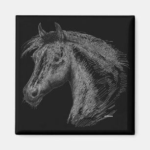 Pferd: Schwarz Magnet