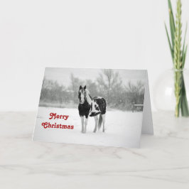 Pferd Schwarz und Weiß Schnee Foto Weihnachten