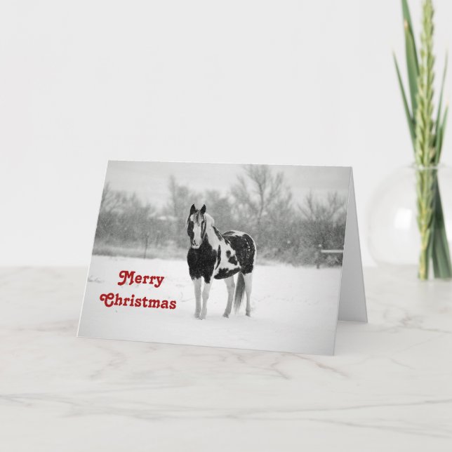 Pferd Schwarz und Weiß Schnee Foto Weihnachten (Vorderseite)