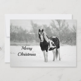 Pferd Schwarz und Weiß Schnee Foto Weihnachtsflach Feiertagskarte