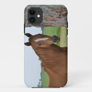 Pferd steht neben Baum Fall Case-Mate iPhone Hülle