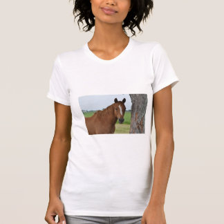 Pferd T Shirt