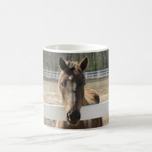 Pferd trifft Sie am Zaun Kaffeetasse