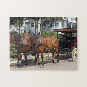 Pferd und Beförderung auf Mackinac Island MI