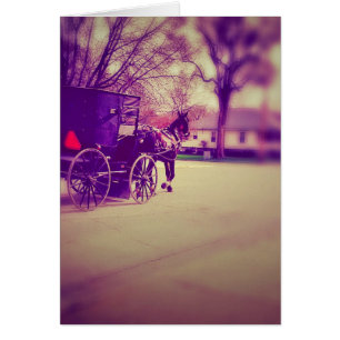 Pferd und Buggy