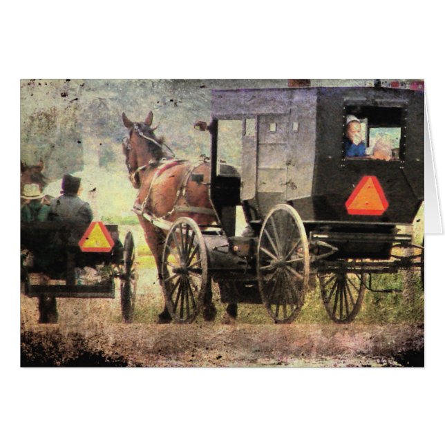 Pferd und Buggy (Vorderseite (Horizontal))