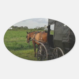 Pferd und Buggy am Sonnenuntergang in Frytown Ovaler Aufkleber