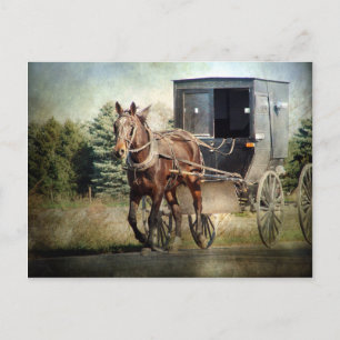 Pferd und Buggy im ländlichen Iowa Postkarte