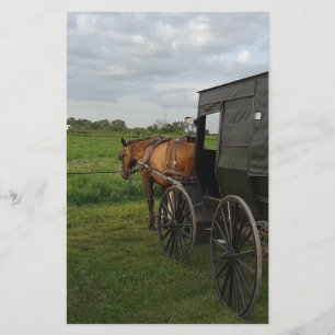 Pferd und Buggy im Sonnenuntergang Briefpapier