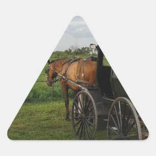 Pferd und Buggy im Sonnenuntergang Dreieckiger Aufkleber