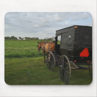 Pferd und Buggy im Sonnenuntergang Mousepad