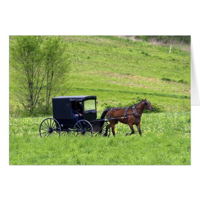 Pferd und Buggy in der Nähe von Berlin, Ohio. (Vorderseite (Horizontal))