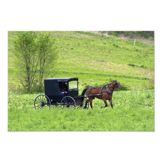 Pferd und Buggy in der Nähe von Berlin, Ohio. Fotodruck (Vorne)