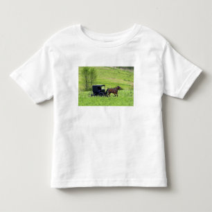 Pferd und Buggy in der Nähe von Berlin, Ohio. Kleinkind T-shirt