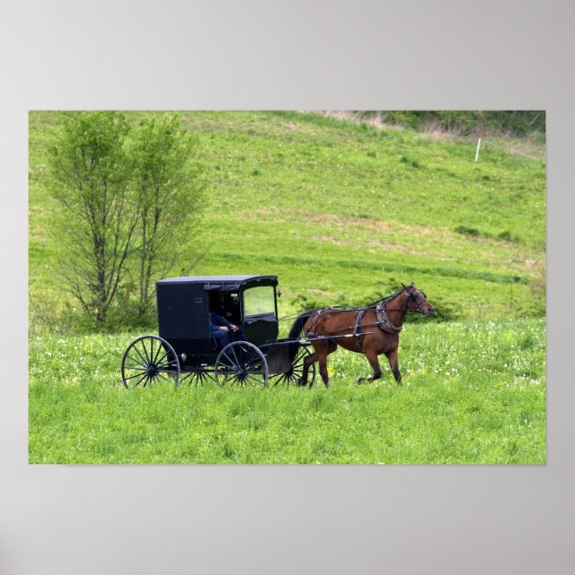 Pferd und Buggy in der Nähe von Berlin, Ohio. Poster (Vorne)
