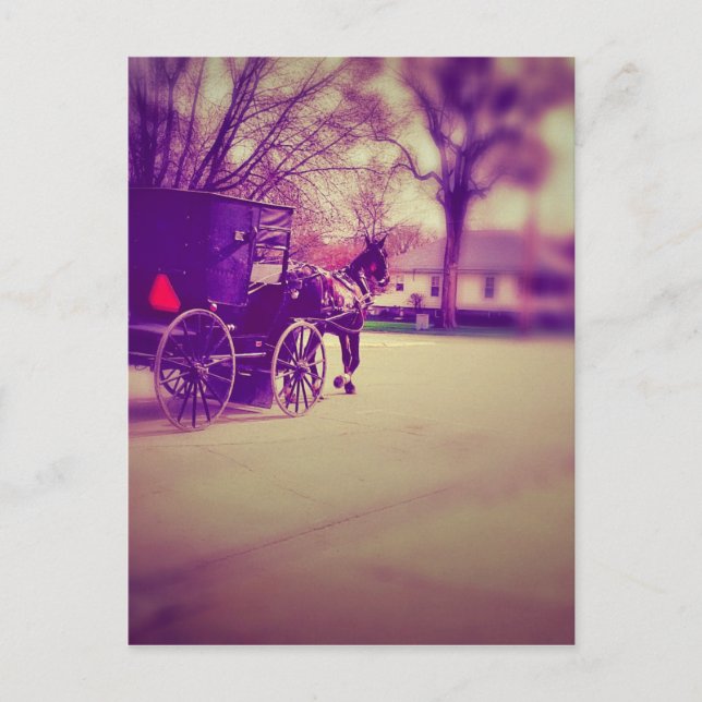 Pferd und Buggy Postkarte (Vorderseite)