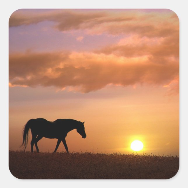 Pferd und Country Sunrise Quadratischer Aufkleber (Vorderseite)