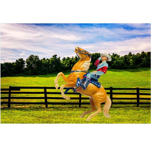 Pferd und Cowboy Lendenkissen (Von Creator hochgeladen)