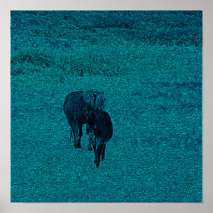 Pferd und Donkey Poster