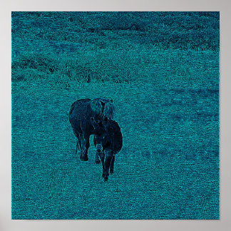 Pferd und Donkey Poster