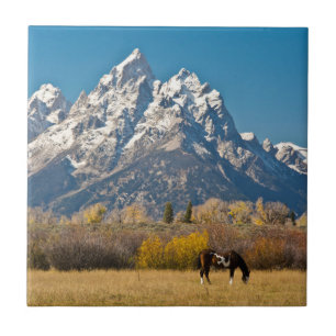 Pferd und Grand Tetons, Moose Head Ranch Fliese
