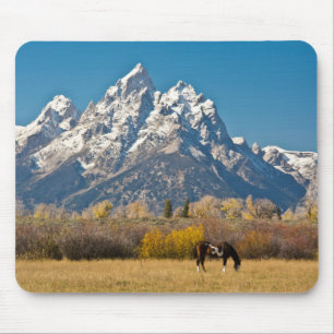 Pferd und Grand Tetons, Moose Head Ranch Mousepad