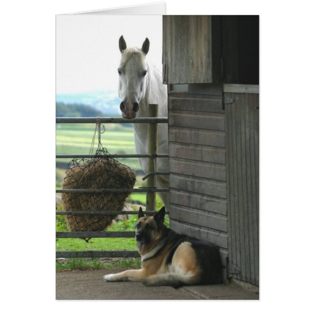 Pferd und Hund (Vorne)