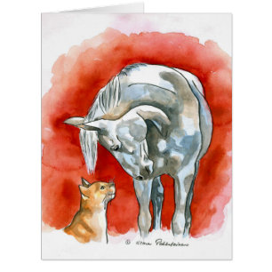 Pferd und Katze