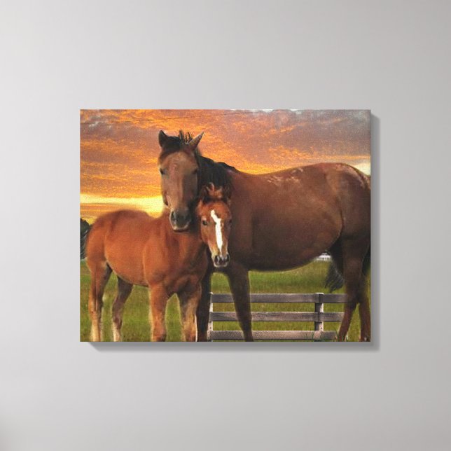 Pferd und Pony Leinwanddruck (Vorderseite)