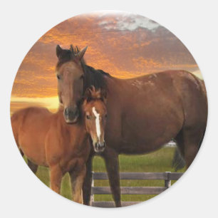 Pferd und Pony Runder Aufkleber