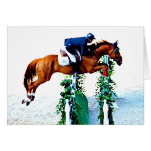 Pferd und Reiter im Pullover-Ring