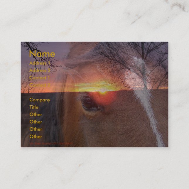 Pferd und Sonnenaufgang-Visitenkarte Visitenkarte (Vorderseite)