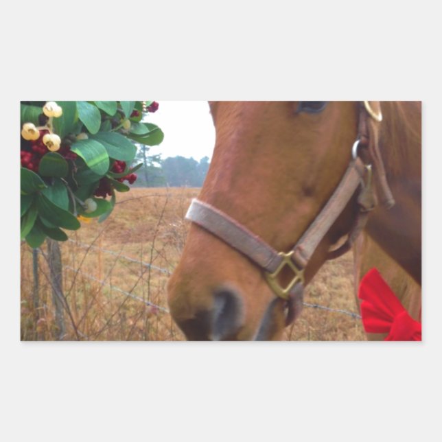 Pferd unter Mistletoe küssen Rechteckiger Aufkleber (Vorderseite)