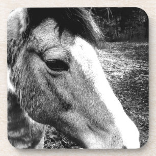 Pferd Untersetzer